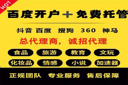 成功案例：SEM竞价托管的策略与效果